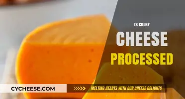 Is Colby Cheese Processed? Uncovering the Truth Behind This Dairy Delight