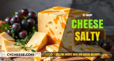 Is Colby Cheese Salty? Exploring Its Flavor Profile and Salt Content