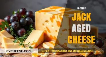 Exploring Colby Jack: Is This Popular Cheese Truly Aged?