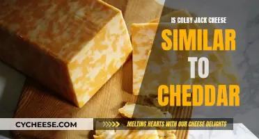 Colby Jack vs. Cheddar: Unraveling the Cheese Similarity Mystery