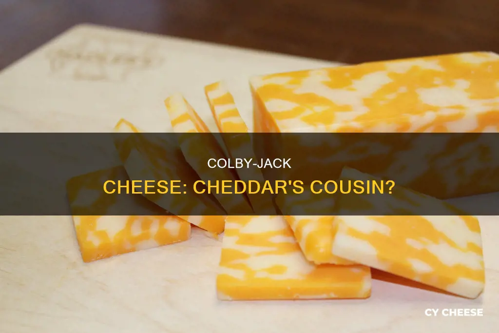 is colby jack cheese similar to cheddar