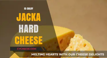 Is Colby Jack a Hard Cheese? Exploring Its Texture and Uses
