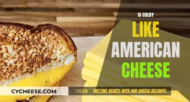 Colby and American Cheese: What's the Difference?