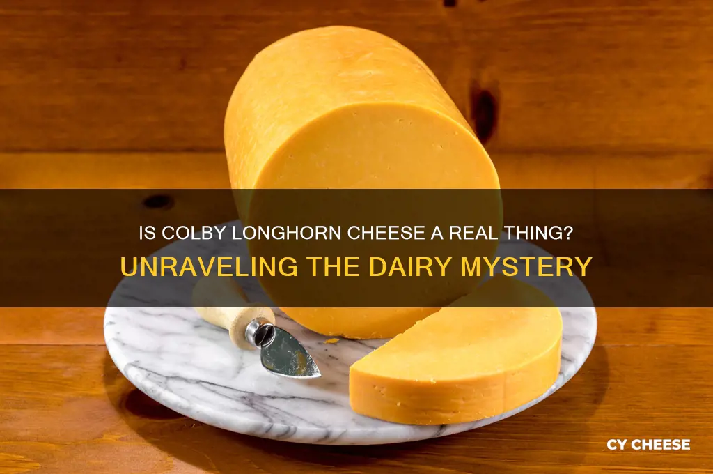 is colby longhorn cheese