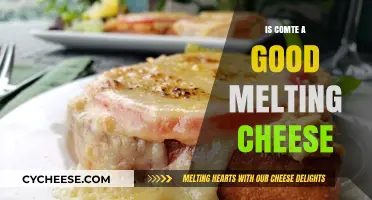 The Best Melting Cheese: Comte
