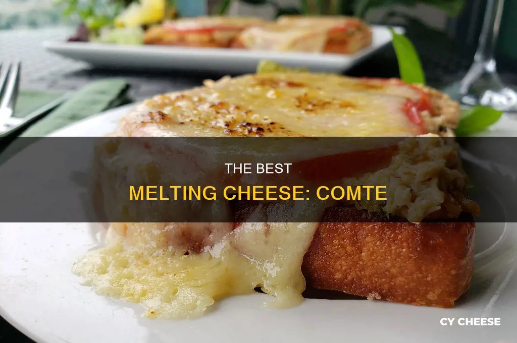 is comte a good melting cheese