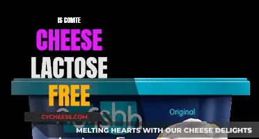Cheese and Lactose: Comte Cheese's Surprising Truth