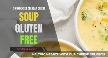 Gluten-Free Cheddar Soup: Condensed Cheddar's Secret Ingredient