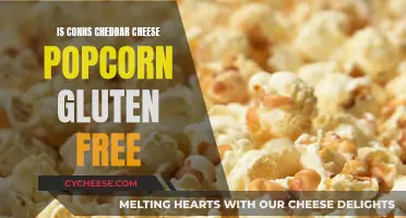 Gluten-Free Snack Alert: Is Conns Cheddar Popcorn Safe for Celiac?