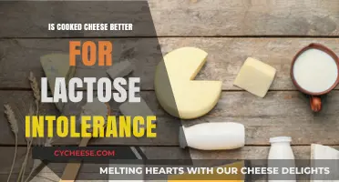 Cooked Cheese: A Lactose Intolerant's Best Friend?