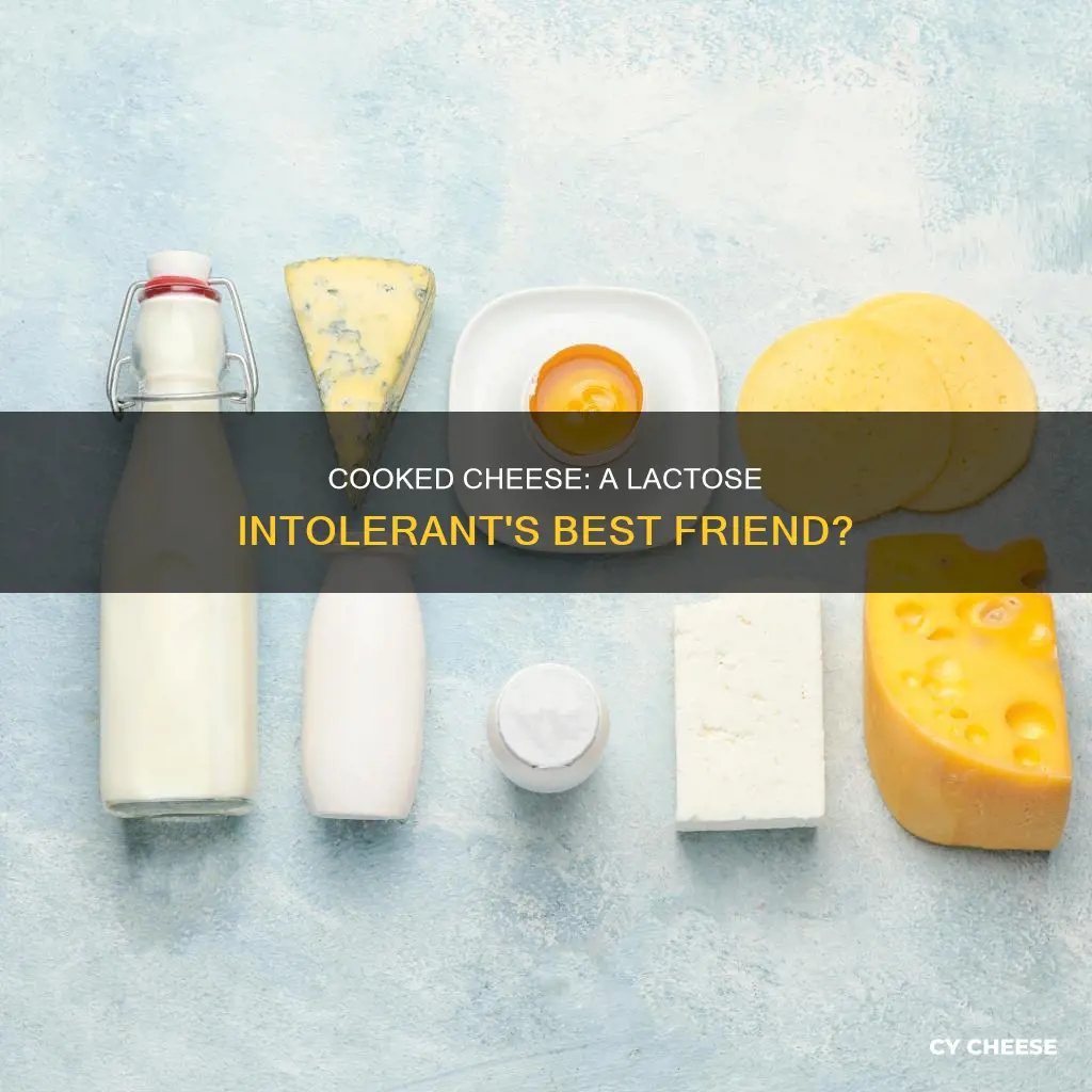 is cooked cheese better for lactose intolerance