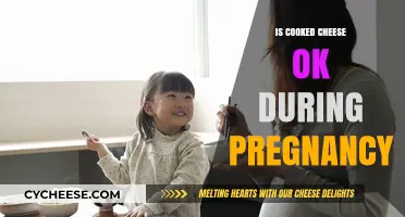 Cheese Consumption During Pregnancy: What's Safe?