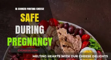 Fontina Cheese Safety During Pregnancy: What You Need to Know