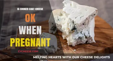 Goat Cheese Consumption During Pregnancy: Is It Safe?