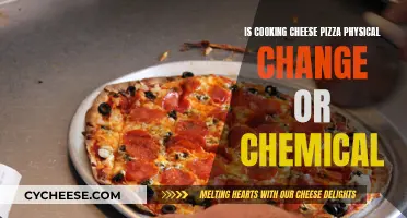 Unraveling the Science: Is Cheesy Pizza a Physical or Chemical Transformation?