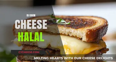 Is Coon Cheese Halal? Exploring Ingredients and Certification