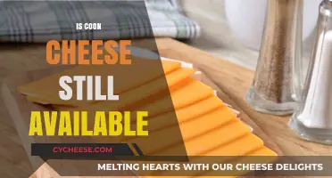 Is Coon Cheese Still Available? Exploring Its Current Market Presence