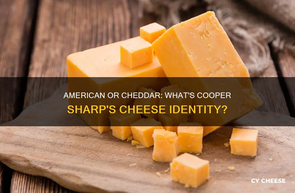 is cooper a sharp american or cheddar cheese