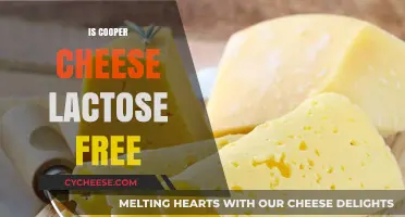 Cheese and Lactose: Cooper Cheese's Surprising Truth