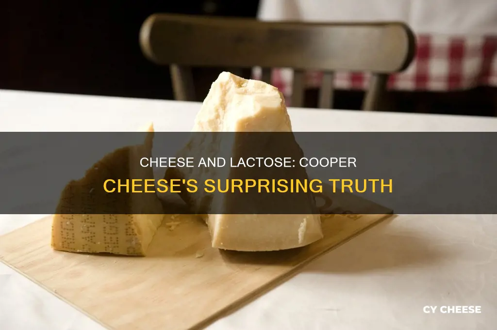 is cooper cheese lactose free