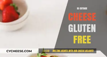 Gluten-Free Cottage Cheese: What You Need to Know