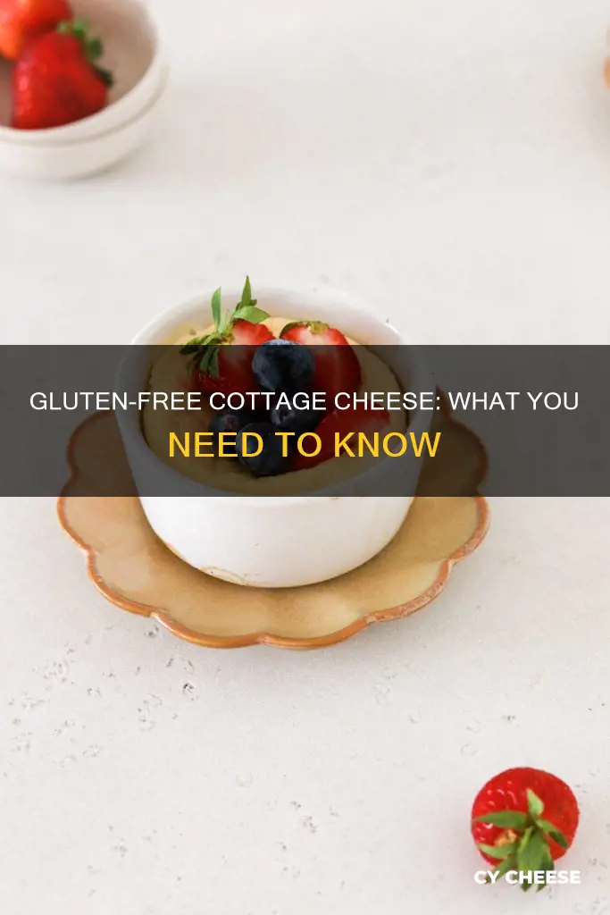 is cotage cheese gluten free