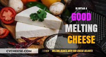 Cotija Cheese Melting: Is It Good?