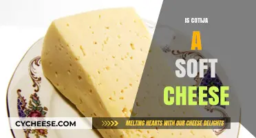 Is Cotija a Soft Cheese? Exploring Its Texture and Uses