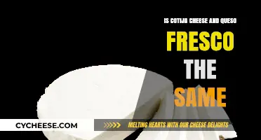 Cotija vs. Queso Fresco: Unraveling the Mexican Cheese Mystery