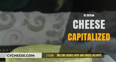 Is Cotija Cheese Capitalized? Unraveling the Dairy Dilemma