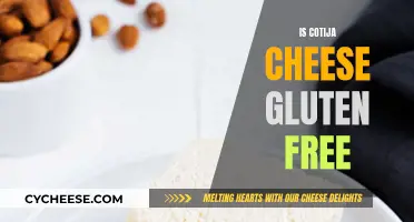 Gluten-Free Cotija Cheese: What You Need to Know