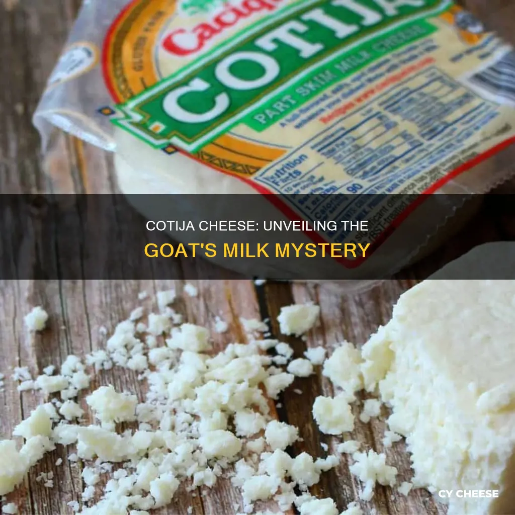 is cotija cheese goat cheese