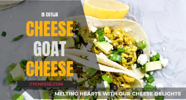 Cotija Cheese: Is It Goat Cheese?