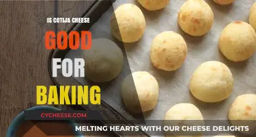 Cotija Cheese for Baking: Good or Bad?