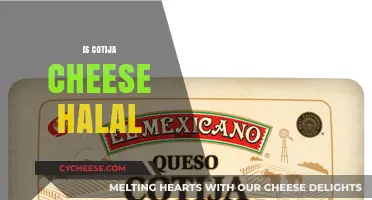 Is Cotija Cheese Halal? Exploring Its Ingredients and Certification