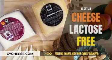 Is Cotija Cheese Lactose-Free?