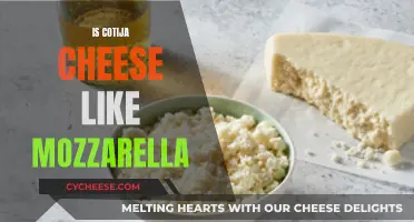 What Makes Cotija Cheese Different From Mozzarella?