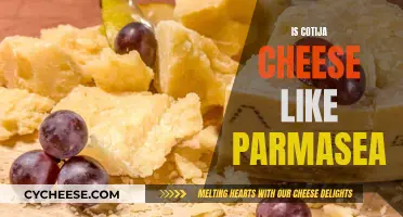 Cotija Cheese: Parmesan's Cousin? A Comparison