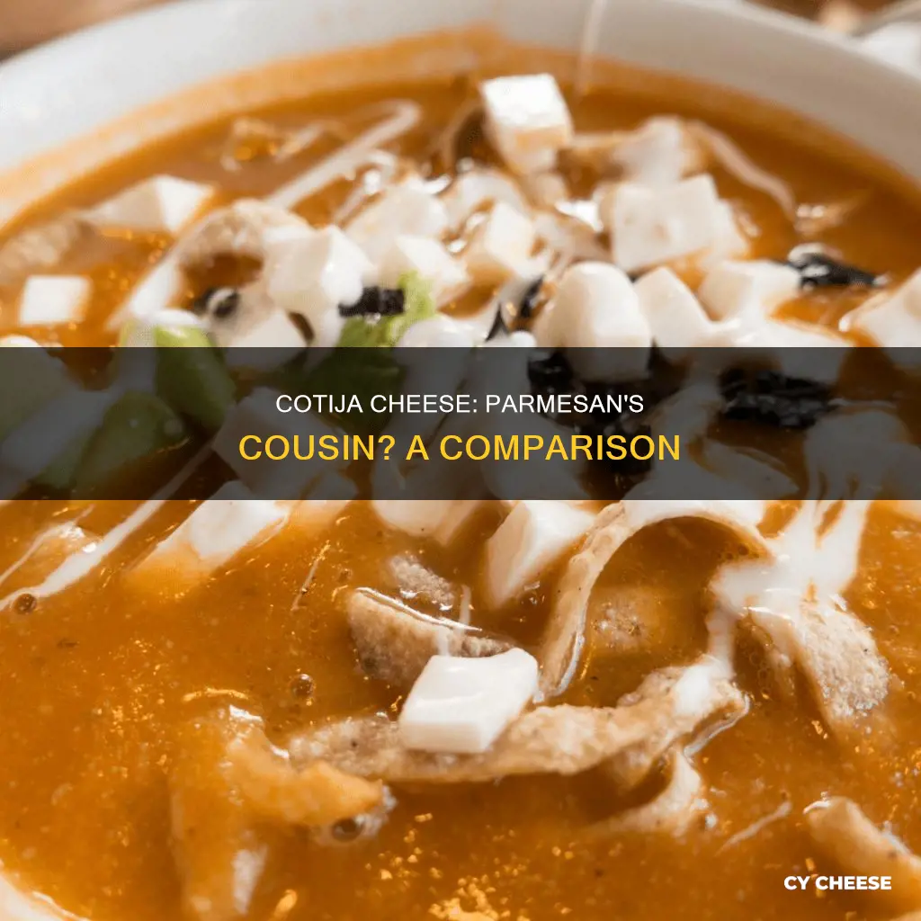 is cotija cheese like parmasean
