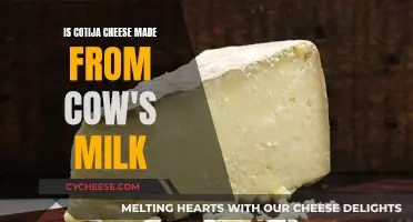 Cotija Cheese: Cow's Milk? Understanding the Cheese's Origins