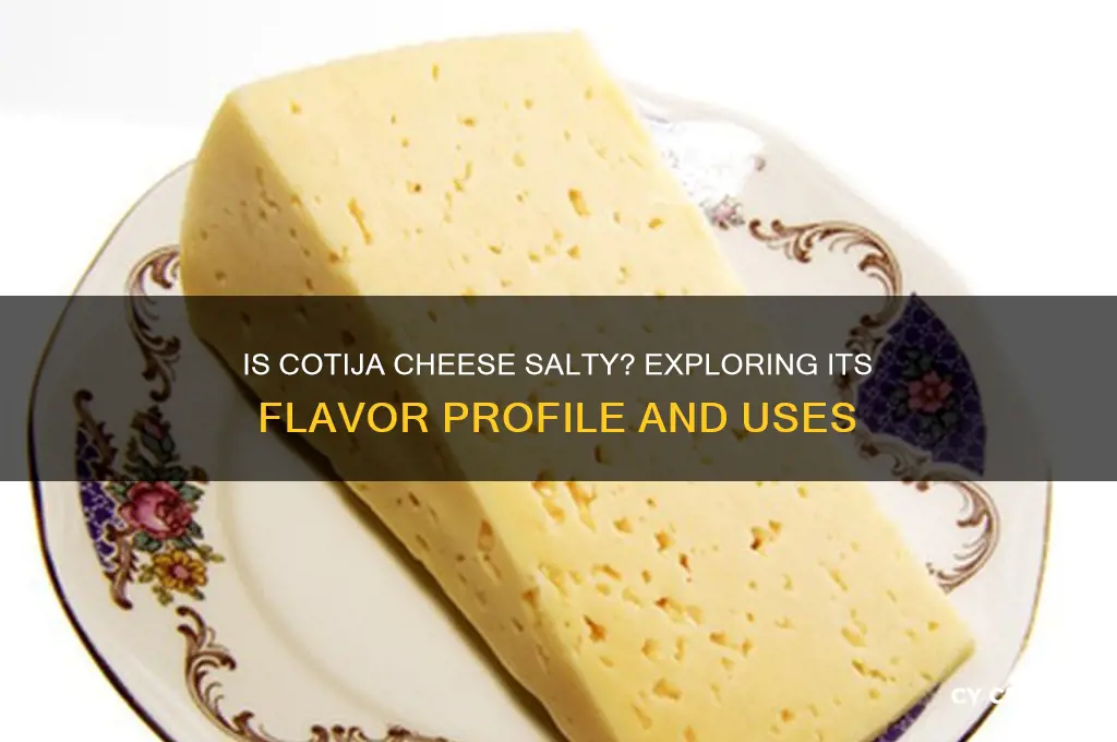 is cotija cheese salty