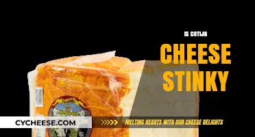 Is Cotija Cheese Stinky? Uncovering the Truth About Its Aroma
