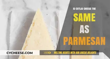 Cotija Cheese vs Parmesan: What's the Difference?