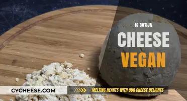 Is Cotija Cheese Vegan? Exploring Dairy-Free Alternatives and Facts