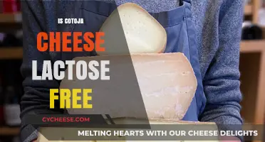 Lactose-Free Living: Cotoja Cheese's Surprising Health Benefits