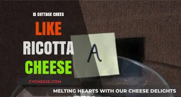 Cottage Cheese vs. Ricotta: Texture, Taste, and Culinary Uses Compared