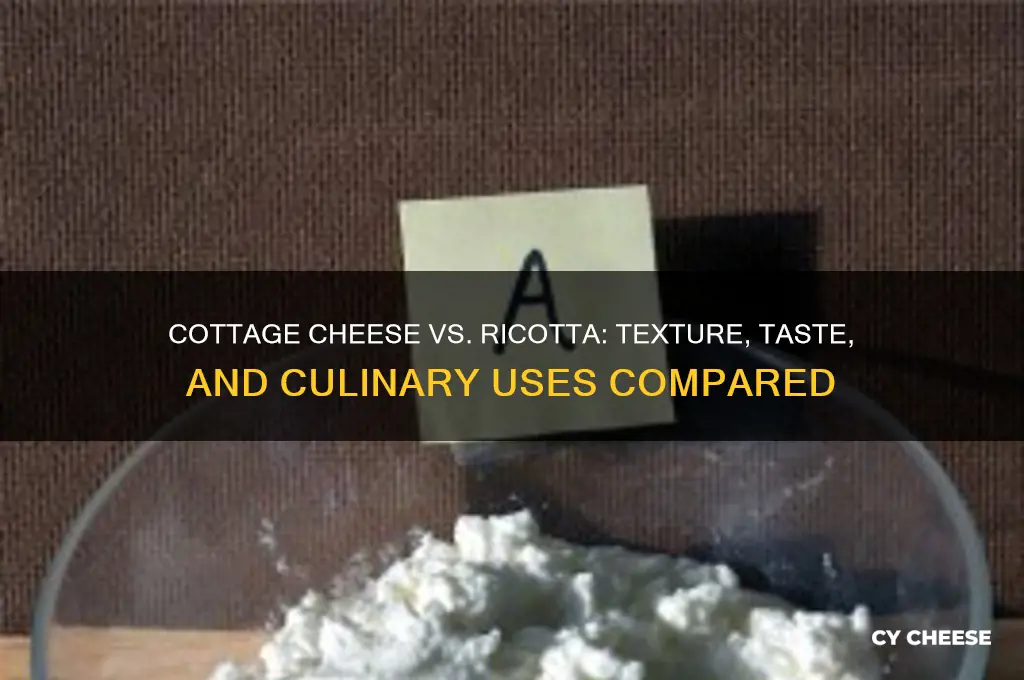 is cottage chees like ricotta cheese