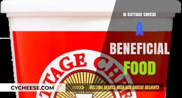 Cottage Cheese Benefits: A Nutritious Addition to Your Diet?