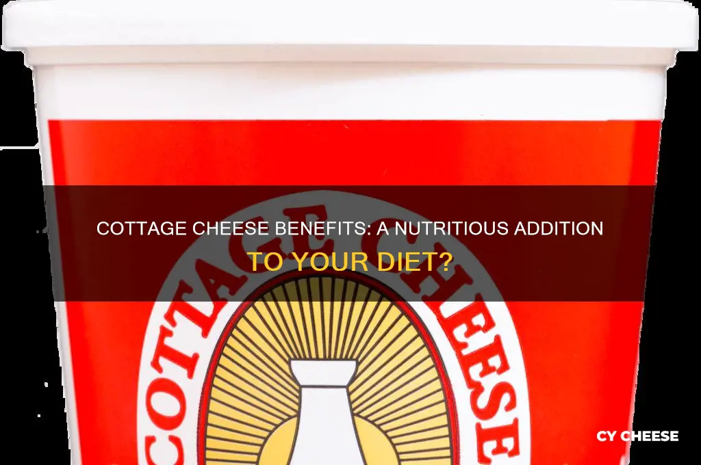 is cottage cheese a beneficial food
