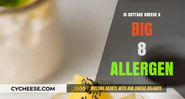 Is Cottage Cheese a Big 8 Allergen? Facts and Safety Tips